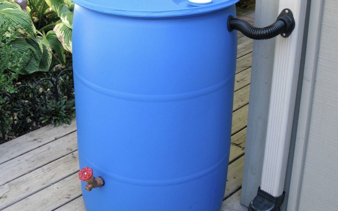 Make-And-Take Rain Barrel Workshop – Postponed